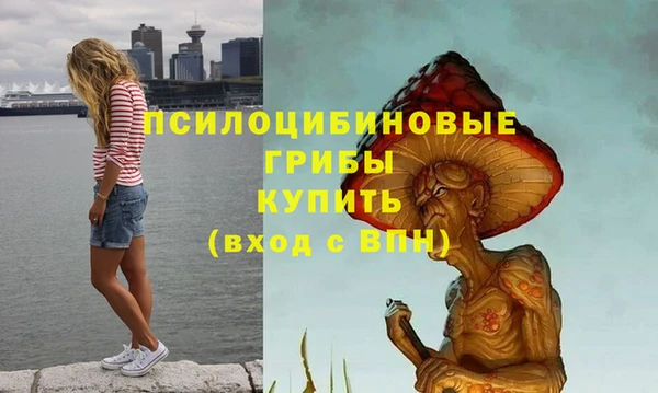 Альфа ПВП Алексин