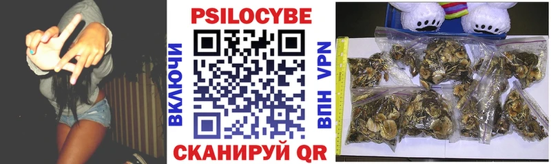 Псилоцибиновые грибы Cubensis  Купить где  Камызяк 
